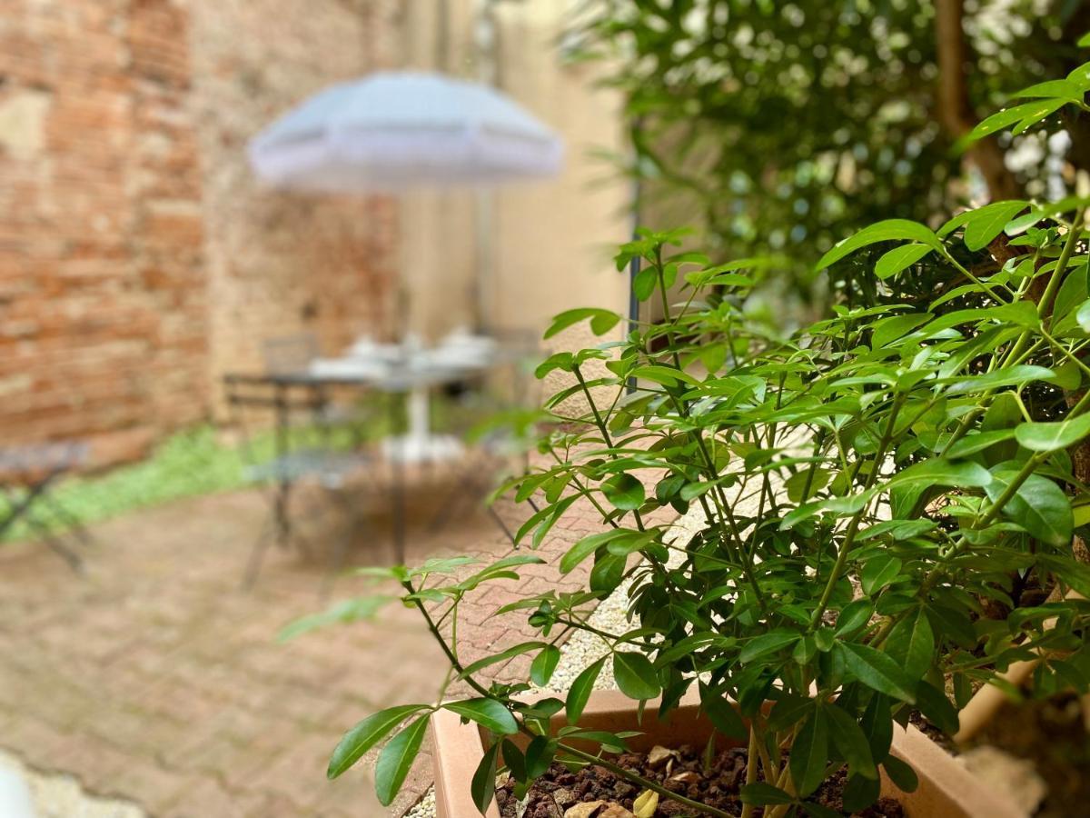 L'Improbable Rendez-Vous Apartment Montauban Exterior photo